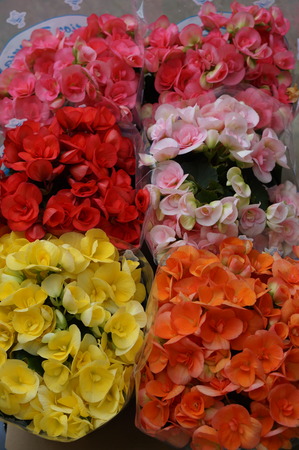 DSC05042