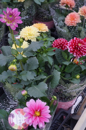 DSC04400