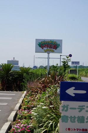DSC02256
