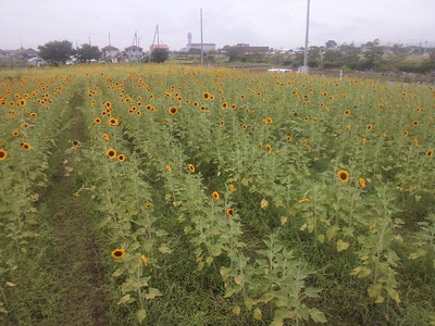 2011_0820_091009-P1000021