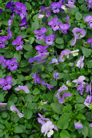 DSC04683