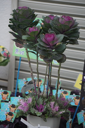 DSC04333