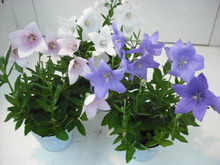 2010_0712_160342-DSCF0014