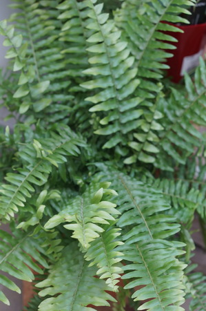 DSC06363