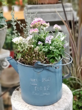 20191106_184654