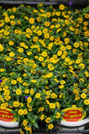 DSC01859