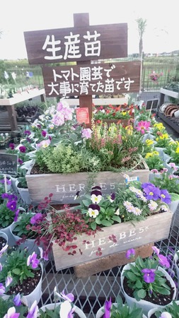 484f5100.jpg