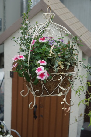 DSC04617