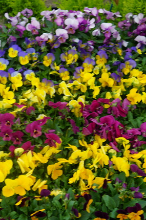 DSC02179