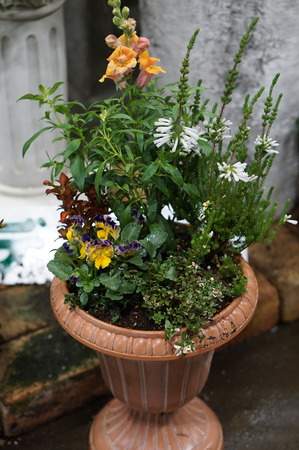 DSC00040