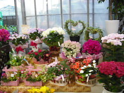 2009_0506_180847-DSCF0019