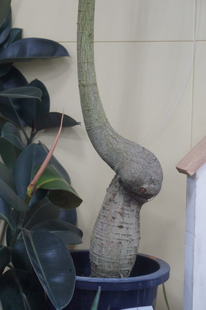 DSC04637