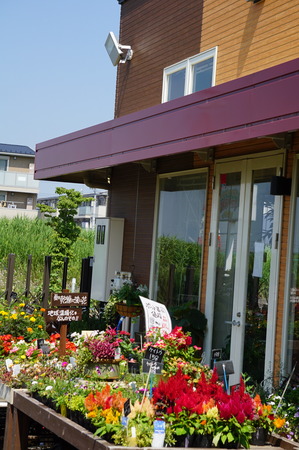DSC02251