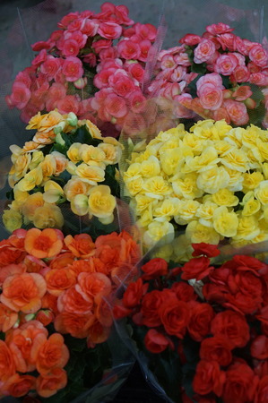 DSC08986