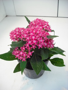 2010_0712_161550-DSCF0030