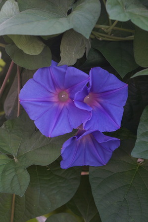 DSC05180