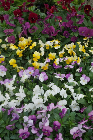 DSC02180