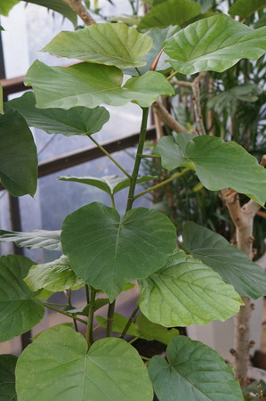 DSC03665