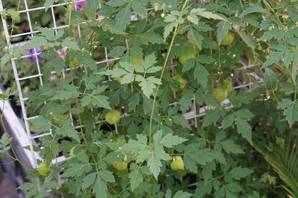 DSC03614
