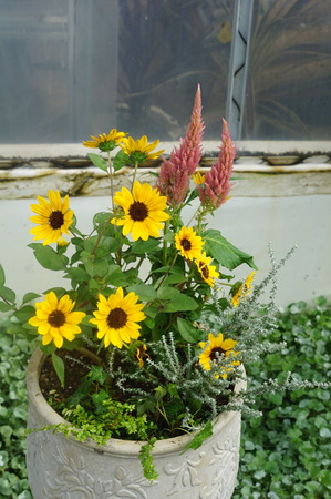DSC06606 (1)