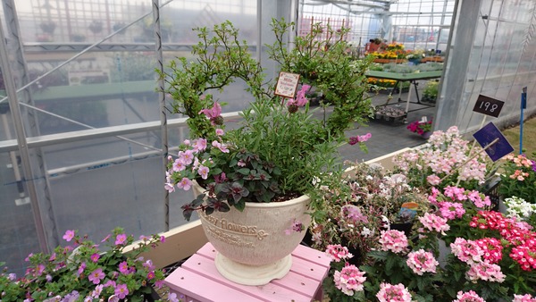 b8d135f6.jpg