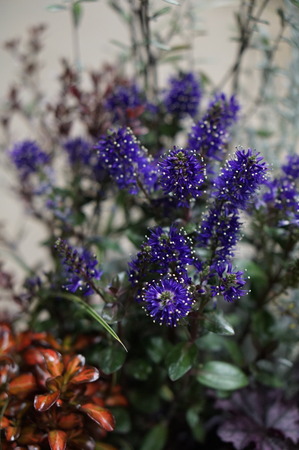 DSC00027