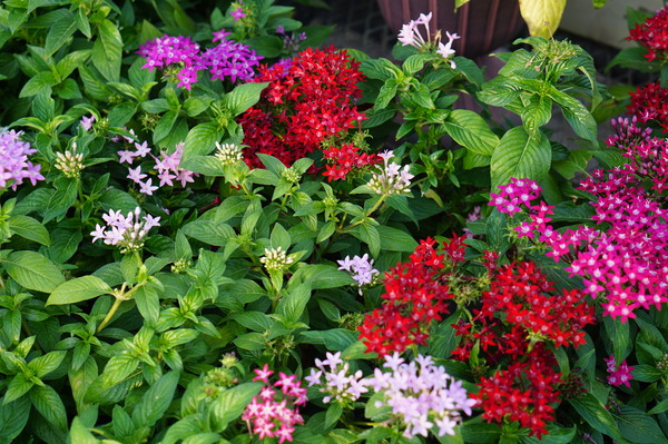 DSC05360