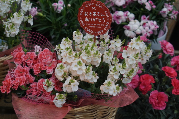 DSC05209
