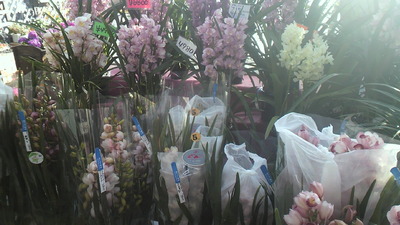 2010_1211_142256-P1000001