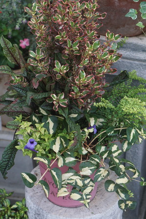 DSC04695
