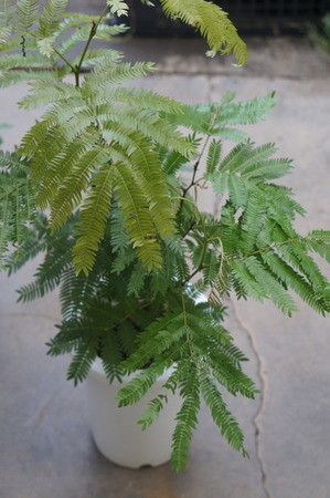 DSC01136