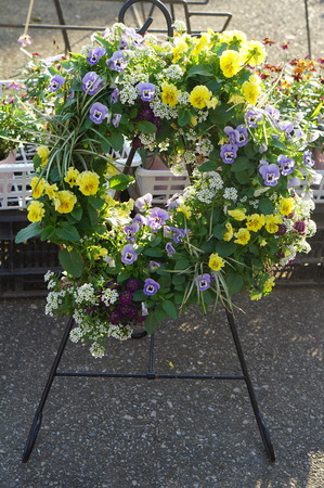 DSC09031