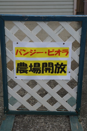DSC01909