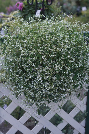 DSC00797