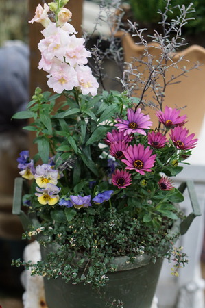 DSC00126