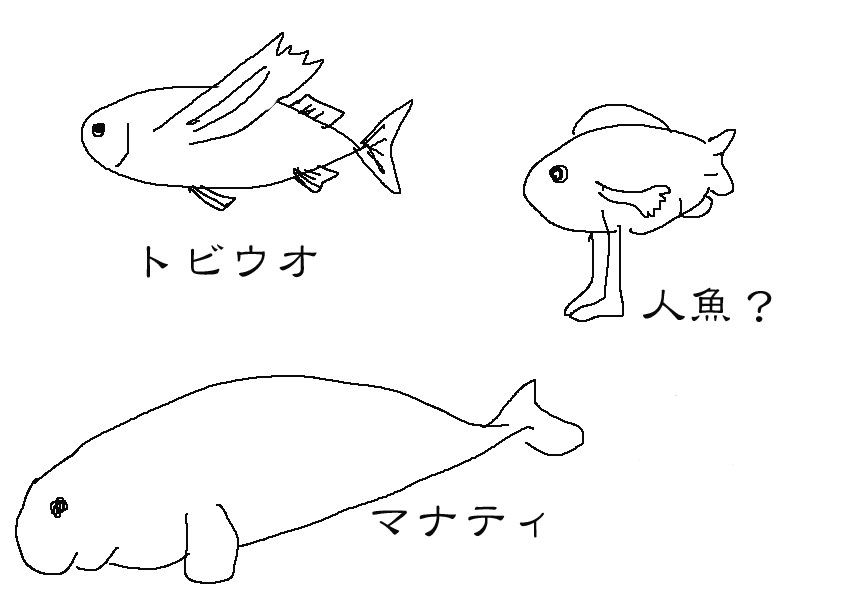 脚は尾ビレか腹ビレか Tomato Memo