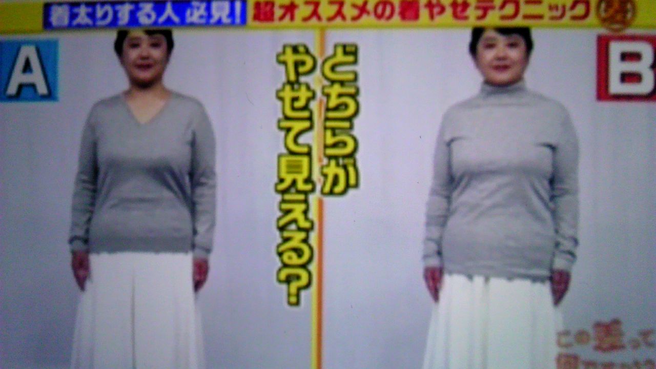 着やせして見える人と着太りして見える人の差 蜻蛉の一人言 着やせして見える人と着太りして見える人の差 蜻蛉の一人言