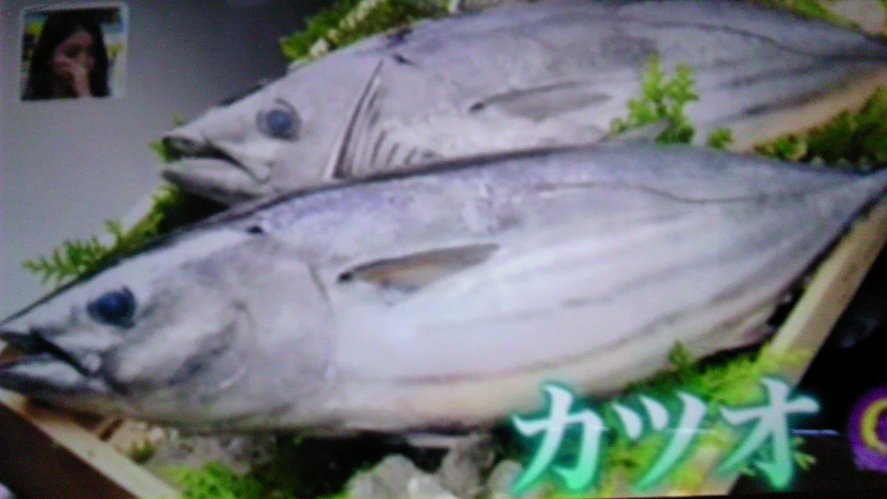 日本人がカツオを食べられるのは キリバス人のおかげ 蜻蛉の一人言