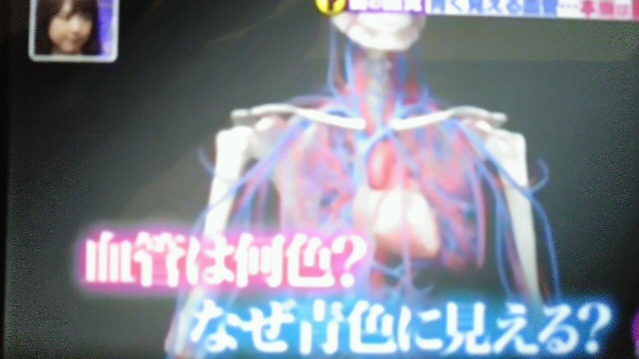 血管が青に見えるのは 目の錯覚 蜻蛉の一人言 血管が青に見えるのは 目の錯覚 蜻蛉の一人言