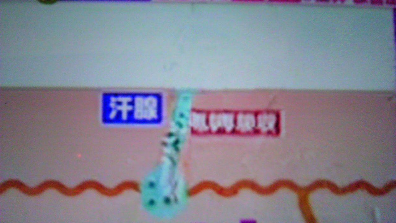 ベタベタ汗の原因は老化 蜻蛉の一人言