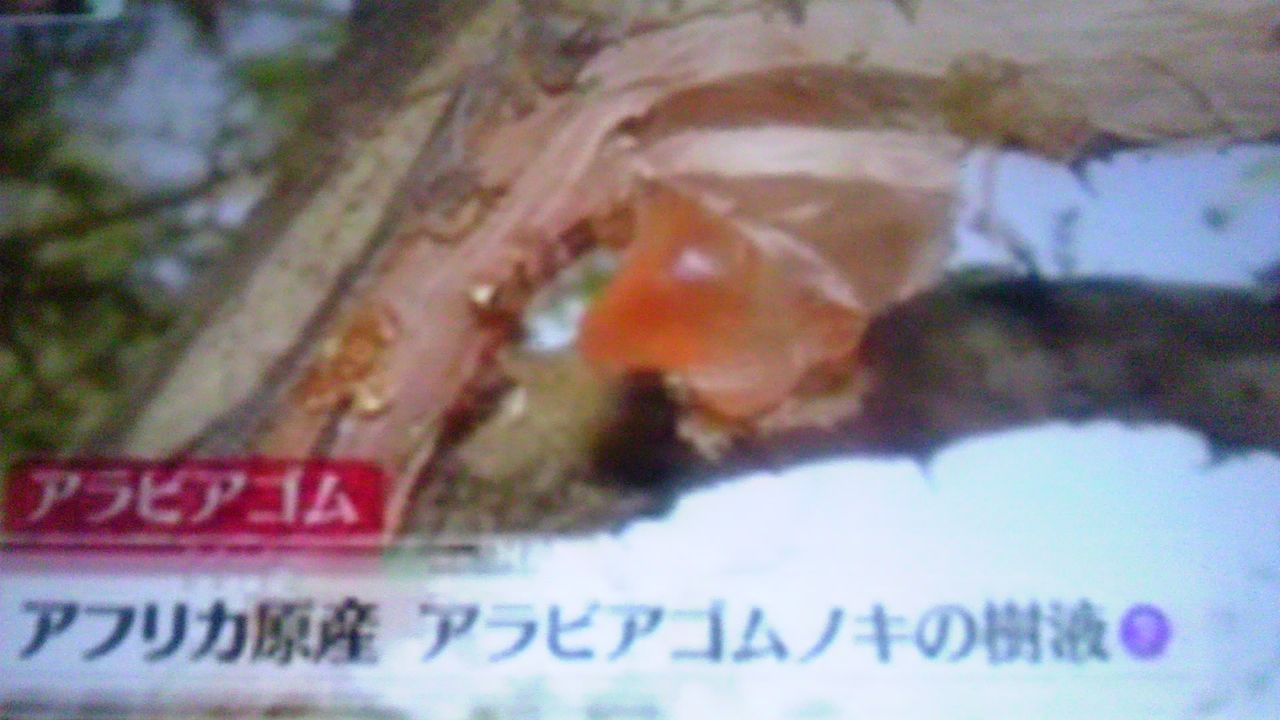 福島の除染作業で 葛飾北斎の浮世絵が注目されている 蜻蛉の一人言