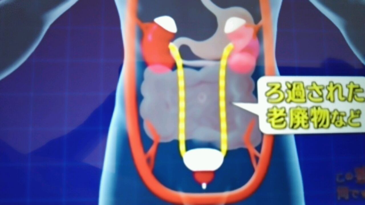色が薄いおしっこと色が濃いおしっこの差 蜻蛉の一人言 色が薄いおしっこと色が濃いおしっこの差 蜻蛉の一人言