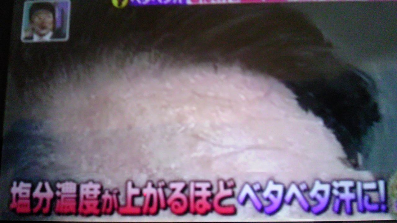 ベタベタ汗の原因は老化 蜻蛉の一人言