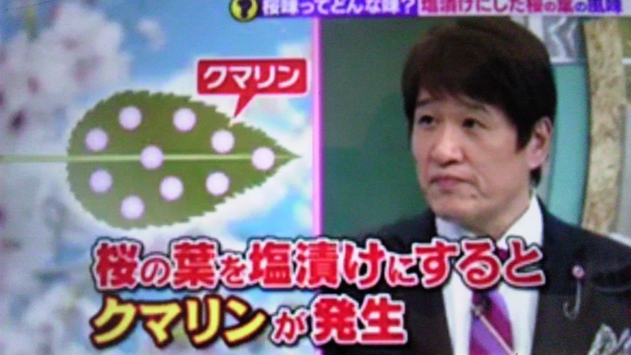 そもそも桜味とはどんな味なのか 蜻蛉の一人言 そもそも桜味とはどんな味なのか 蜻蛉の一人言