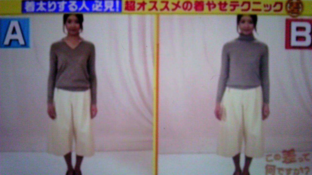 着やせして見える人と着太りして見える人の差 蜻蛉の一人言 着やせして見える人と着太りして見える人の差 蜻蛉の一人言