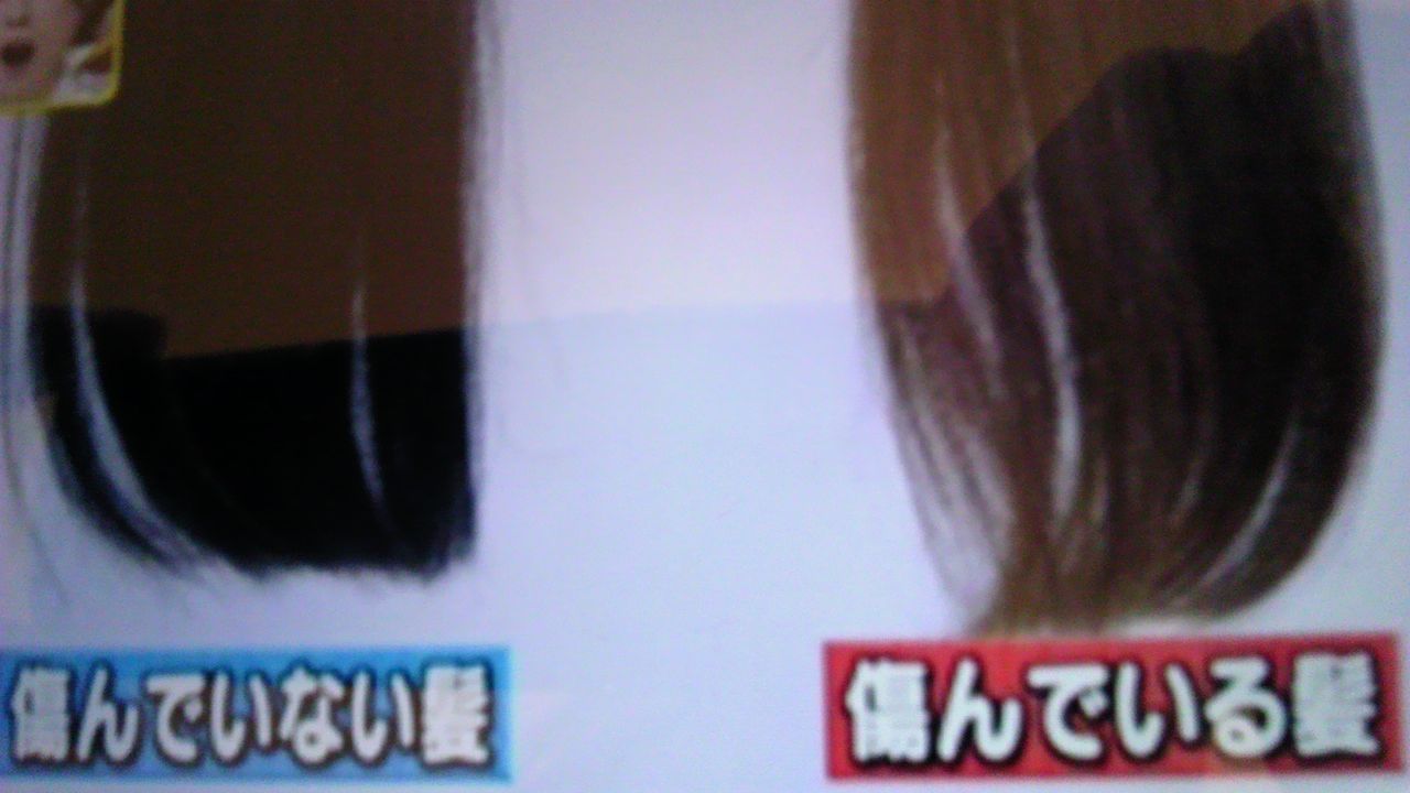 傷んでいる髪の毛と傷んでいない髪の毛の差 蜻蛉の一人言