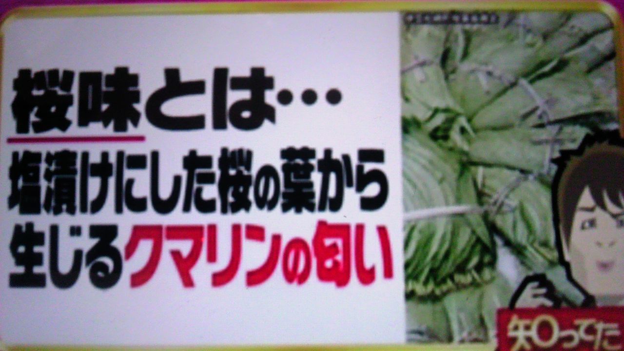 そもそも桜味とはどんな味なのか 蜻蛉の一人言 そもそも桜味とはどんな味なのか 蜻蛉の一人言