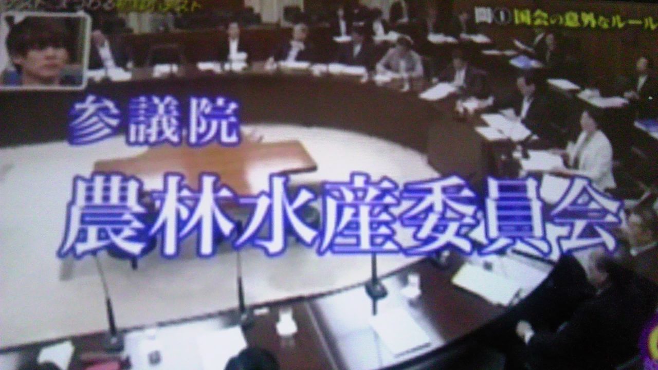 Bluetooth が なぜ青い歯と名付けられたのか 蜻蛉の一人言