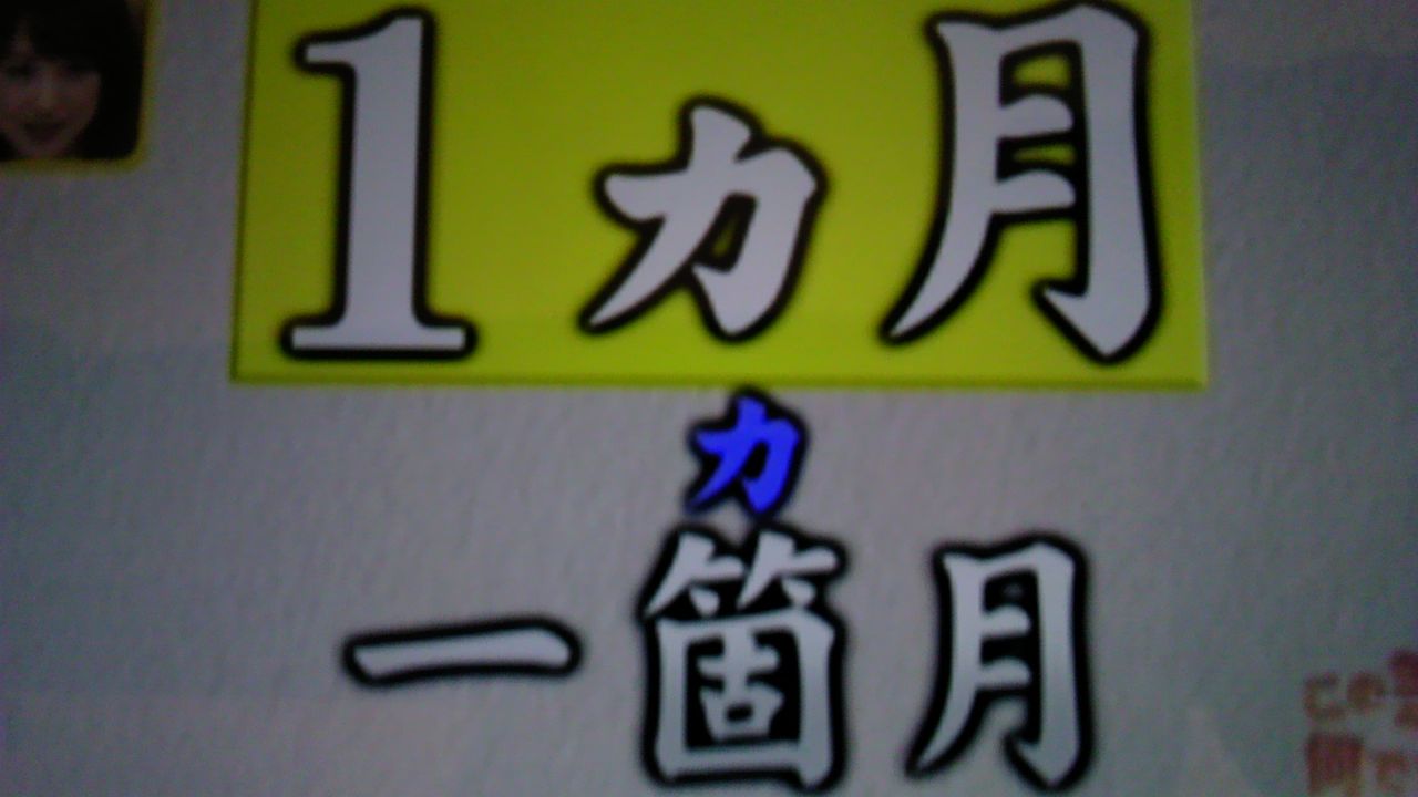一カ月と1ヶ月の差 なぜカと書く時とヶと書く時があるのか 蜻蛉の一人言