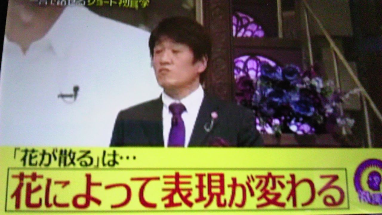花が散る という言葉は 花の種類によって表現が変わる 蜻蛉の一人言 花が散る という言葉は 花の種類によって表現が変わる 蜻蛉の一人言